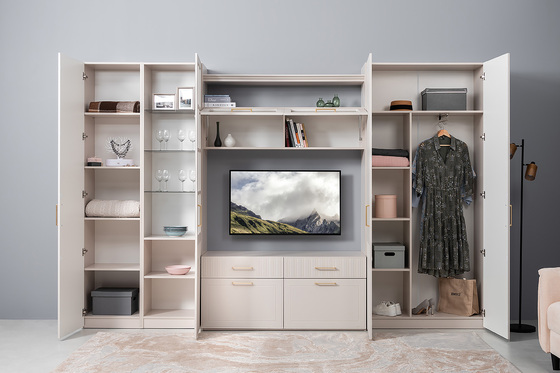 Гостиная Ричфорд композиция 1 без карнизов, кашемир 5981 BS, моно керамика D166-2 ПВХ, белый PE шагрень (собирается на любую сторону)